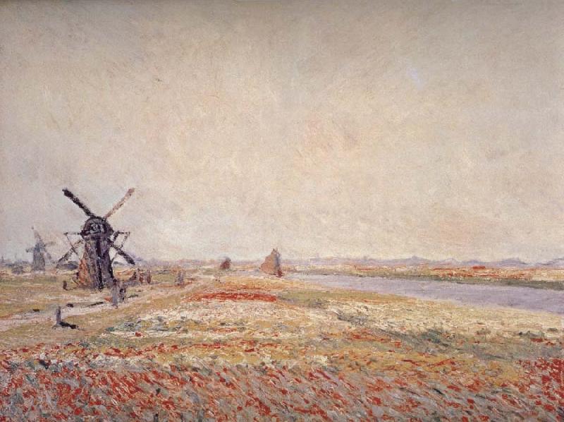 Claude Monet Field of Flowers and Windmills Near Leiden